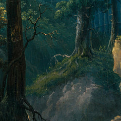 The waterfall of the Ilse on the Brocken in the Harz Mountains by Hermann Josef Neefe - 1_673ca8965e0c5e198f5ec5e0