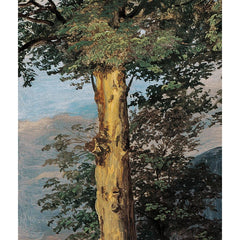 Maple Trees at Ischl by Ferdinand Georg Waldmüller - 1_673cbd265e0c5e198f5ec65a