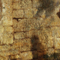 Chickens in front of a farmhouse by Constant Troyon - 1_673cd2e25e0c5e198f5ec6a6