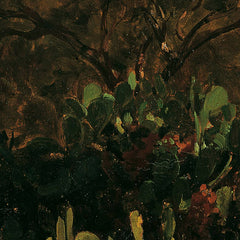 Southern Landscape with Cacti by Thomas Ender - 1_673cda975e0c5e198f5ec6b8