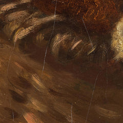 A Sheep by Anton Schrödl - 1_673cdd255e0c5e198f5ec6d7