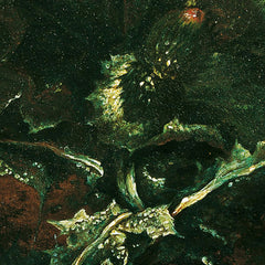 Patch of Grass with Thistle, Frogs, and Dragonfly by Franz Michael Siegmund von Purgau the Elder - 1_673cdf385e0c5e198f5ec712