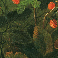Patch of Grass with Strawberries and Cricket by Franz Michael Siegmund von Purgau the Elder - 1_673cdf3b5e0c5e198f5ec713
