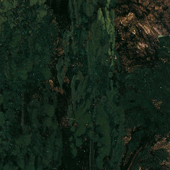 Area near Ischl by Thomas Ender - 1_673db8135e0c5e198f5ec754