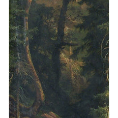 From the Styrian mountain forests near Neuberg by Anton Hansch - 1_67433ef7faa684e1cf4ba545