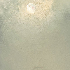 Night Drive in the Lagoon by Josef Carl Berthold Püttner - 1_67435706faa684e1cf4ba5e1