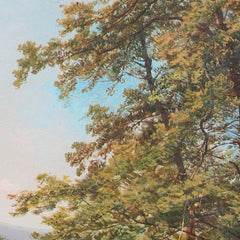 Group of Trees on Mönchsberg in Salzburg by Josef Holzer - 1_67437ffdfaa684e1cf4ba687