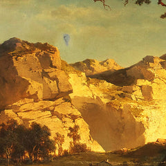 Red Pines by Joseph Brunner - 1_674382e0faa684e1cf4ba6c2