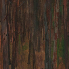 Forest Interior by Hans Tichy - 1_6744836cfaa684e1cf4ba751