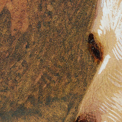 Dog's Head by Johann Matthias Ranftl - 1_674484c0faa684e1cf4ba771