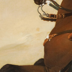 Frederik V on Horseback by C.G. Pilo - 1_67672e49b7c995d950163fbf
