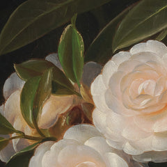 Camelias and Rhododendrons by J.L. Jensen - 1_67672fb7b7c995d950163fda