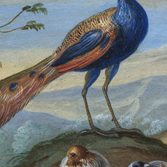 A Hilly Landscape with a Peacock, an Eagle and other Birds by Jan van Kessel the Elder - 1_6767480eb7c995d9501640e9