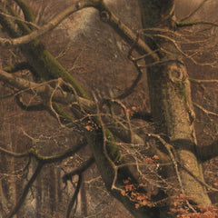 Winter Landscape. Scene from Jægersborg Deer Park by Frederik Rohde - 1_67674e72b7c995d9501641cf