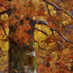 Woods Interior by John E. Bundy - 1_676ee850e83ae7ff01b29a56