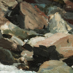 Mountain Stream, Otira Gorge by Petrus van der Velden - 1_6846abfd1483fa5b35559040