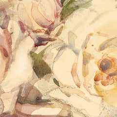 Roses (white) by Margaret Stoddart - 1_6846af9e1483fa5b3555909b
