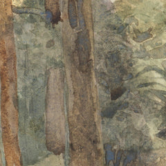 Hut of the "Italian party", old diggings on Buller by James Crowe Richmond - 1_6846b1221483fa5b355590bf