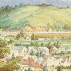 New Zealand Graphic and Descriptive. Nelson. by Charles Decimus Barraud - 1_6846b2af1483fa5b355590d5