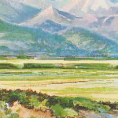 New Zealand Graphic and Descriptive. Mount Alford by Charles Decimus Barraud - 1_6846dd021483fa5b355591af