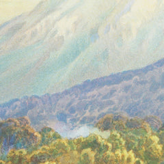 New Zealand Graphic and Descriptive. Mt Egmont by Charles Decimus Barraud - 1_6846df721483fa5b355591d7