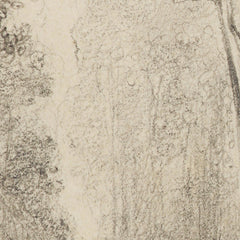 Hutt Road, round the first gorge, looking down by William Swainson FLS FRS - 1_6846e50c1483fa5b3555925d