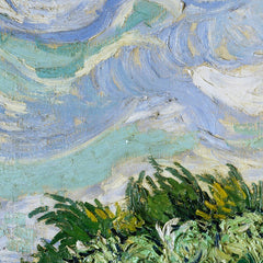 1_69b7284601ec83eca964eda2.jpg