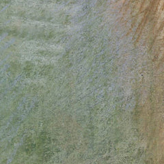 1_69b7303001ec83eca964eded.jpg