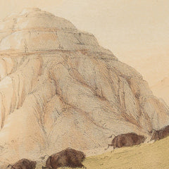 1_69b7f3ec01ec83eca964ee08.jpg