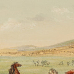 1_69baae5401ec83eca964ee28.jpg