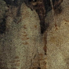 1_69dde6fe23d77509663dffb9.jpg