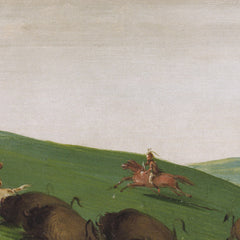 1_69df693bc1725c2331acd785.jpg