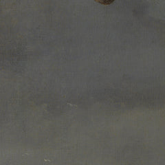 1_69df9a4bc1725c2331acd7b2.jpg