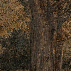 1_69e295cac1725c2331acdbd6.jpg