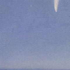 1_69e386eec1725c2331acdcea.jpg
