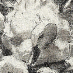 1_6a3ee85254744a3abfcf8439.jpg