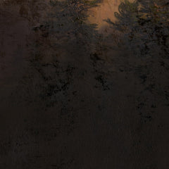 1_6a3f9c5654744a3abfcf8470.jpg