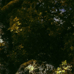 1_6a6a67460570a38b2908638f.jpg