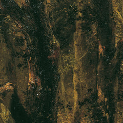1_6a6a67480570a38b29086390.jpg