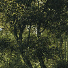 1_6a71d3d8758ac6e8c3ce6d24.jpg