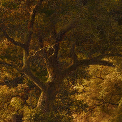 1_6a91f39eef0d0e364ed782b0.jpg