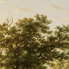 1_6a91f3a5ef0d0e364ed782b2.jpg