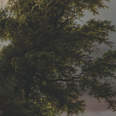 1_6a91f3aeef0d0e364ed782b6.jpg