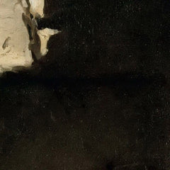 1_6a9572abef0d0e364ed782f7.jpg
