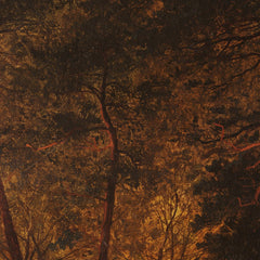 1_6a959cb7ef0d0e364ed78311.jpg