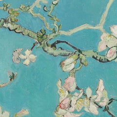 Almond Blossom by Vincent van Gogh - 2_66488c4cbc76b73548b8c973