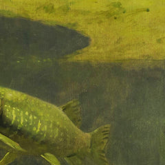 Pike and Perch in an Aquarium by Gerrit Willem Dijsselhof - 2_66fe6bcd8213847b6f357bd8