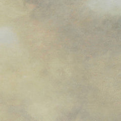 View of Emmerich by Jan van Goyen - 2_67103b0d762cab4eff7871a0