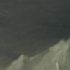 A Woman from the Land of Eskimos by Léon Cogniet - 2_67104241762cab4eff7871f6