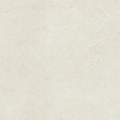 Pheasant by Ogata Kōrin - 2_67104a3d762cab4eff78724c